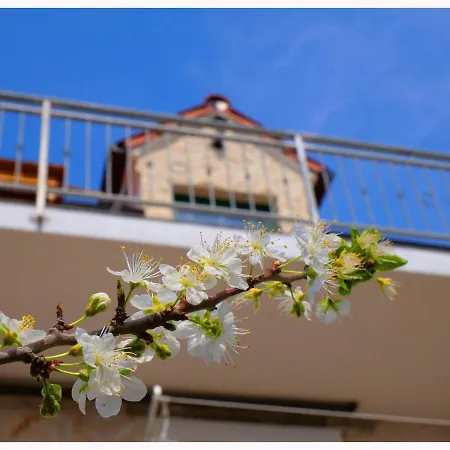 Holiday home House Natalija Podgreben