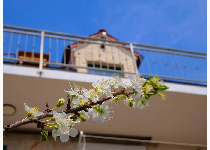 Vikendica House Natalija Podgreben